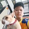 achi13199