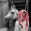 user1907176131261