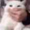 lisaxd002