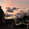 melissa_eiche1