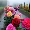ss7777777hh