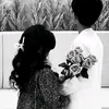 darr_15..1