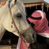 ⚔️آإلشآإمـ♥̨̥̬̩خ⚔️