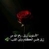 user138218148460