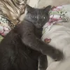 1r0r0n0az0r01