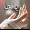 user5857537017761