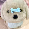 user__nguyen__chi
