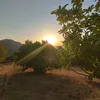 nawelbela126