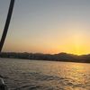 shilat_665499