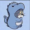 sarri.isn