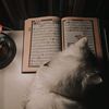 abrar_1840