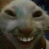 user1837011856024