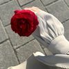 sham_alu