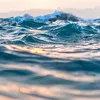water_1446