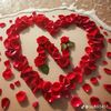 user8003378016753