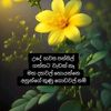 pusparani4
