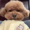 khngan.cute