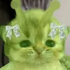 miojin.roblox