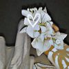 sama.rwash5