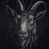 blackgoat6665