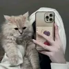 user_bebaxt