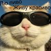 userzutt7w95xv