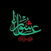 abbas.al.aboodi