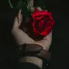8462i