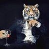 tigerbaitjsu