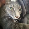 jarcocard_co