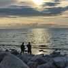 farihiniman7