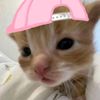 gagah_24