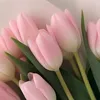 mashatulip1
