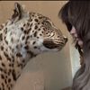 🐆