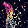 jakelin4264