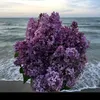 user6130135318688