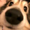 tit_3754