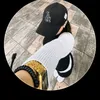 sailanfa_2