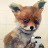 user8lqxelz9ev