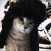 i_love_egor_kreed0
