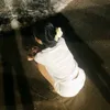 ebe_hong_ngoc