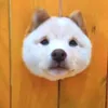 pets_sharing0