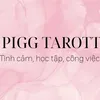 Pigg tarott🔮