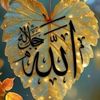 user8841619235925