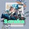 soraka1234