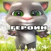 gubgdomvdth