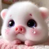 du.ty6474