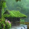 thaiphan078