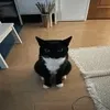 ghost_skitles