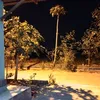 azzhradwi_